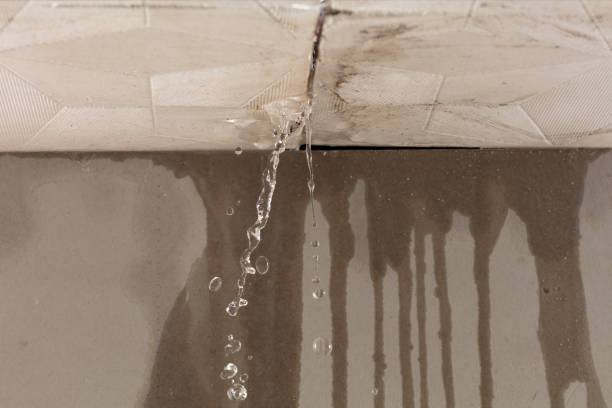 Professional Structural Drying technician working in Holly, MI